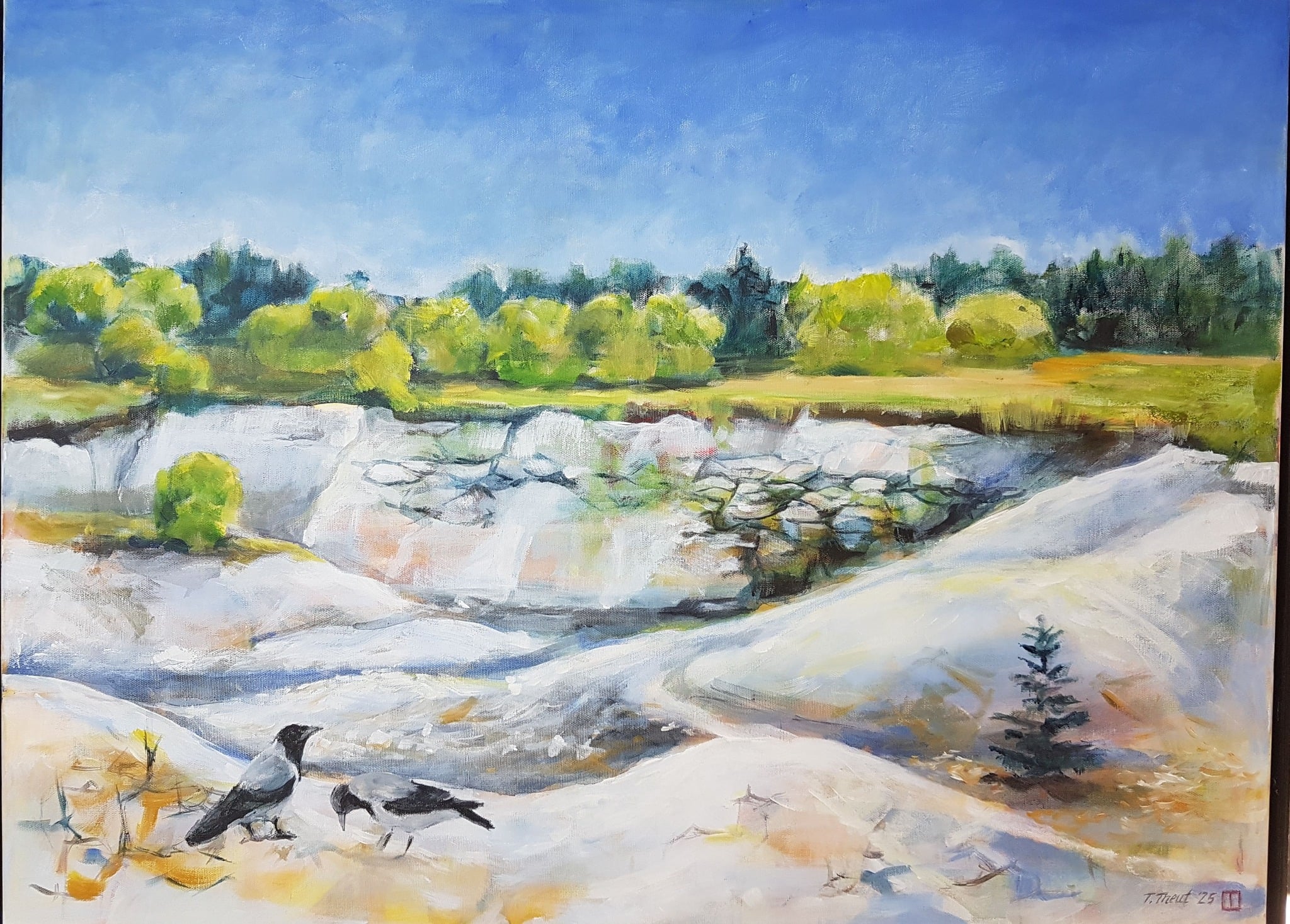Klim Kalkbrud 60x80cm 4900kr.